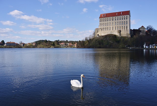 labuť, jezero, dům